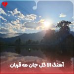 دانلود آهنگ افغانی الا گل جان مه قربان نگاهت لیلی لیلی